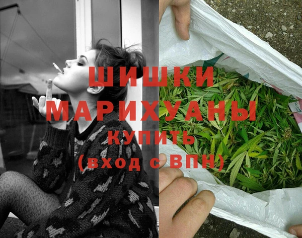 дживик Ладушкин